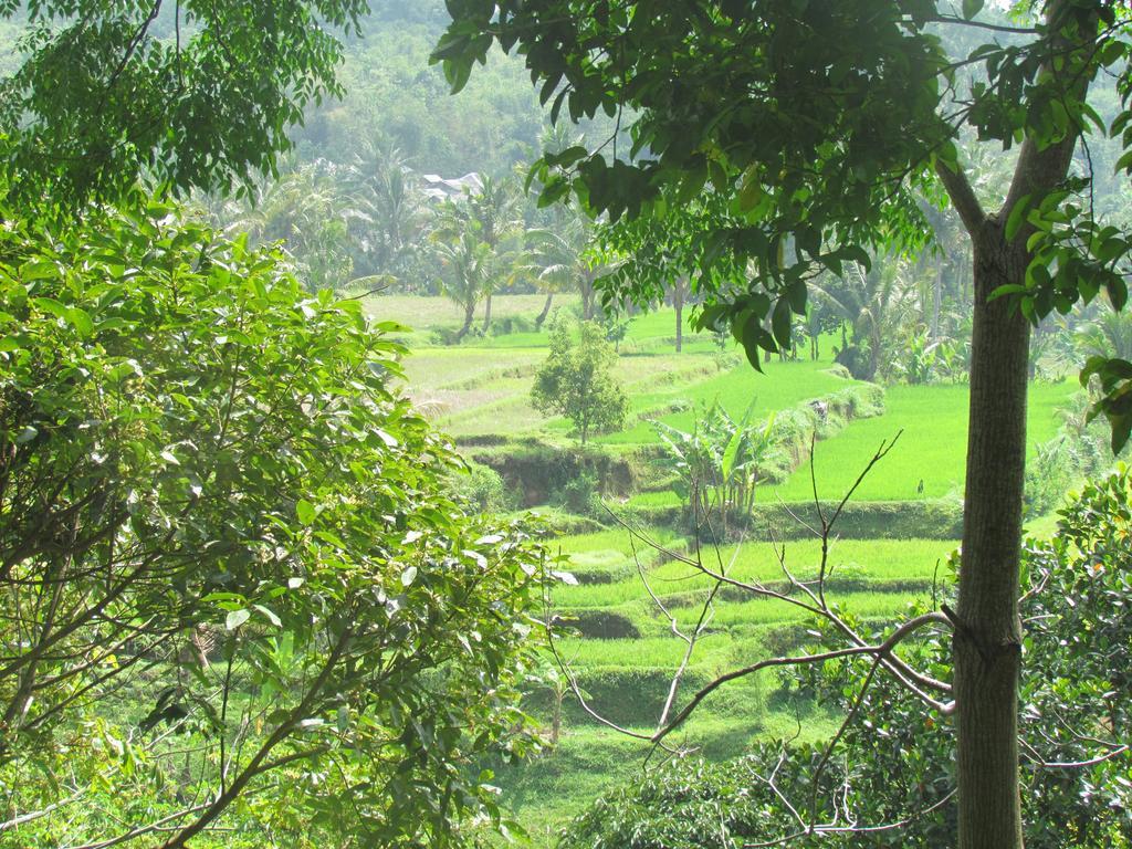 Tetebatu Indah Homestay Exterior foto